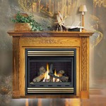 Natural Vent Gas Fireplace (BGNV36) BGNV36